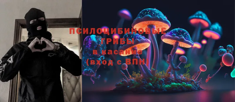 купить наркотики сайты  Саки  Галлюциногенные грибы Psilocybine cubensis 